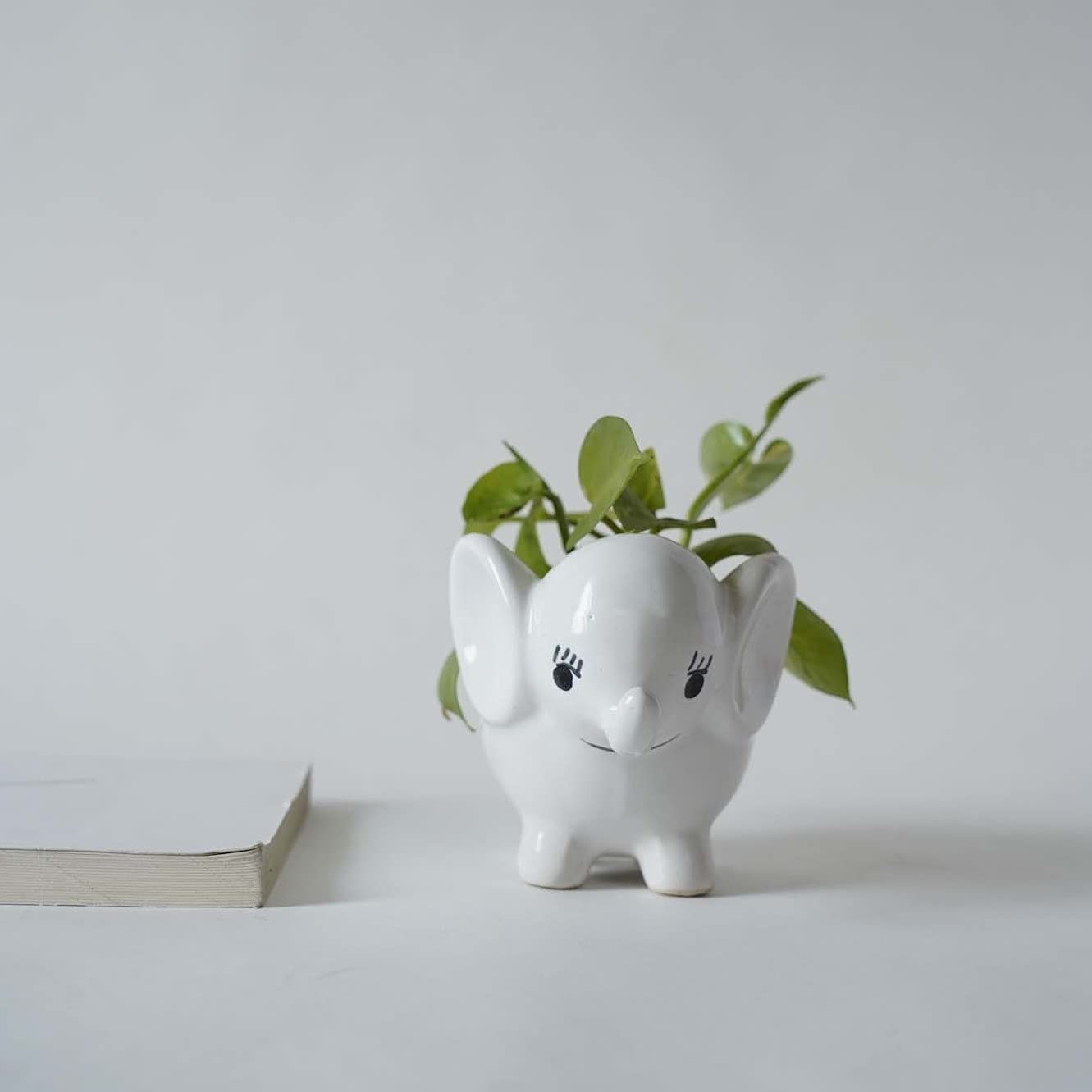 Small Elephant Indoor Plant Pot 12x9 cm