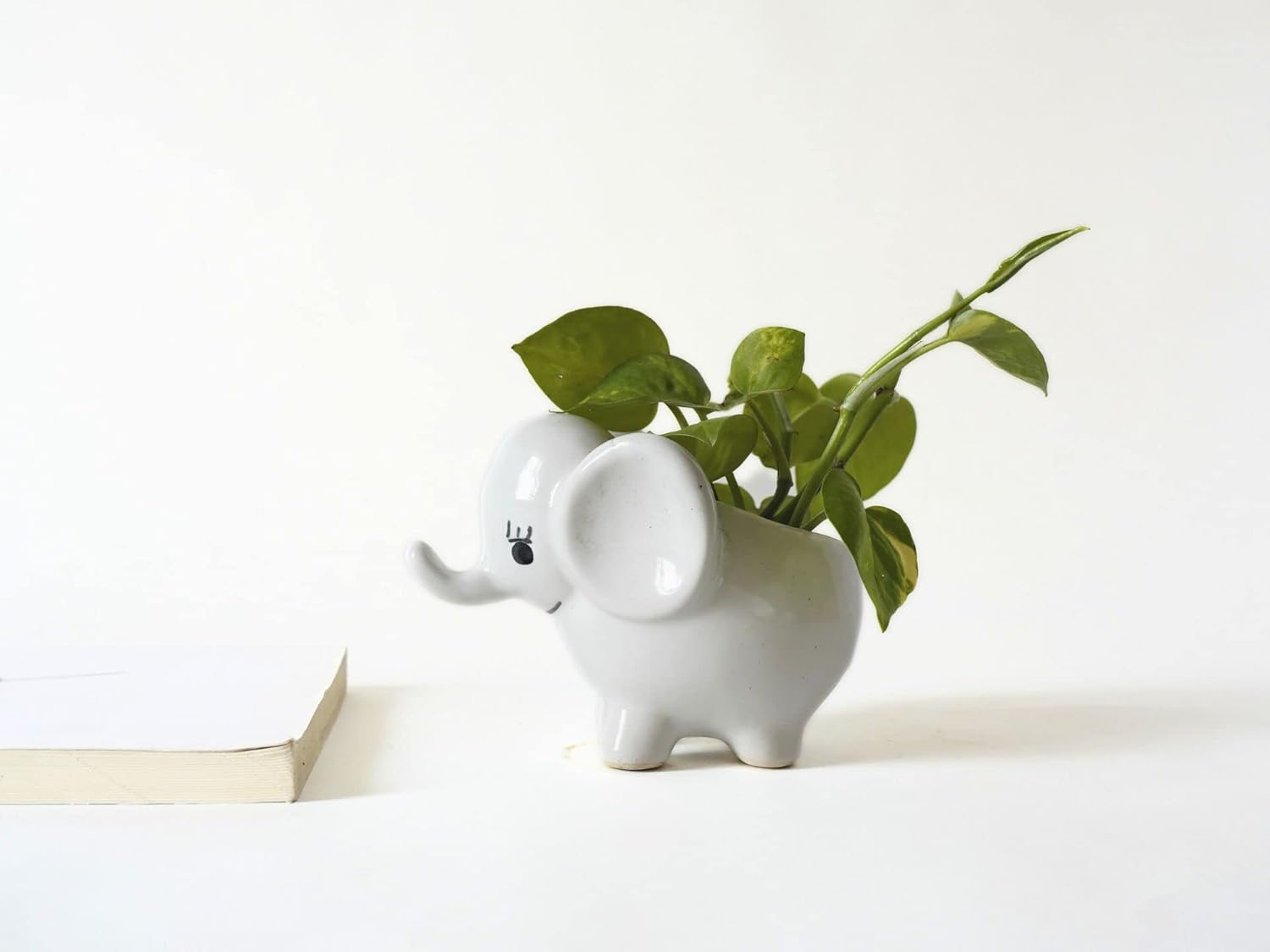 Cute White Elephant Ceramic Planter with Drainage Hole