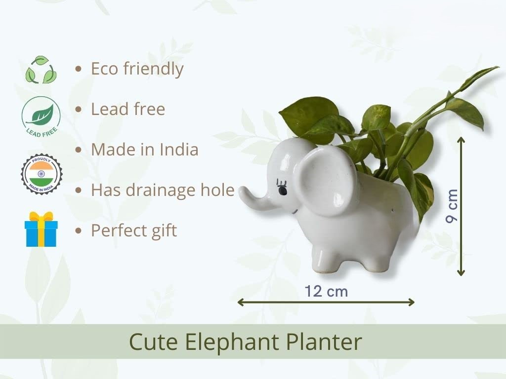 White Ceramic Elephant Pot for Succulent Plants
